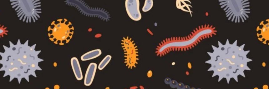 Как наши микробы влияют на нас