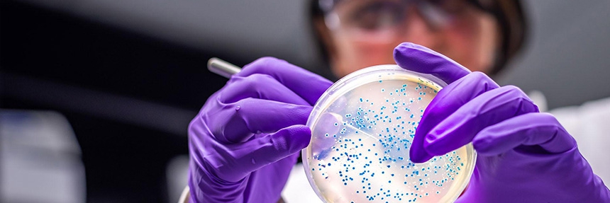 Значение бактерий в жизни человека и изучение их ДНК